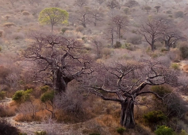 摄影师Austin Mann分享iPhone 13 Pro样片