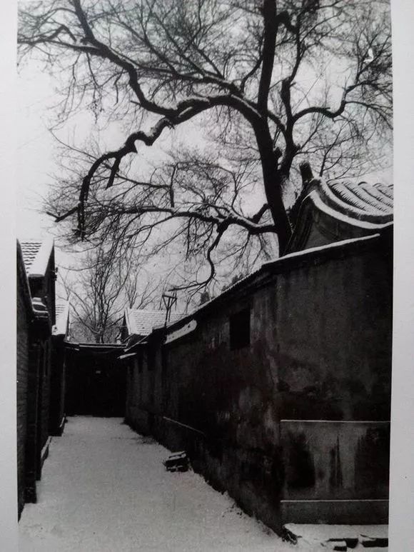 一场雪,不仅带来冬天,更带来许多属于北京的回忆