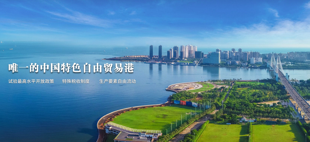 海口网站建设