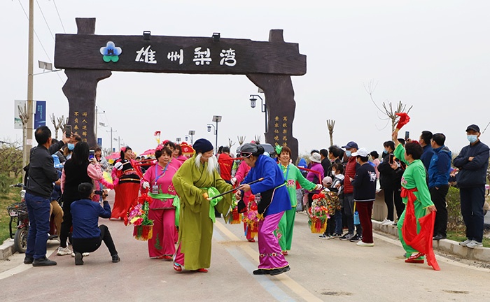雄安·雄州梨湾梨花游园会开幕