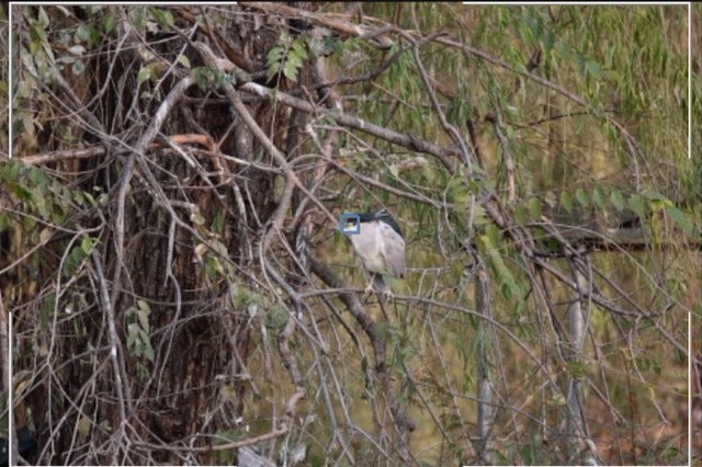 【有料评测】速度 精度 灵敏度 佳能EOS R3相机评测