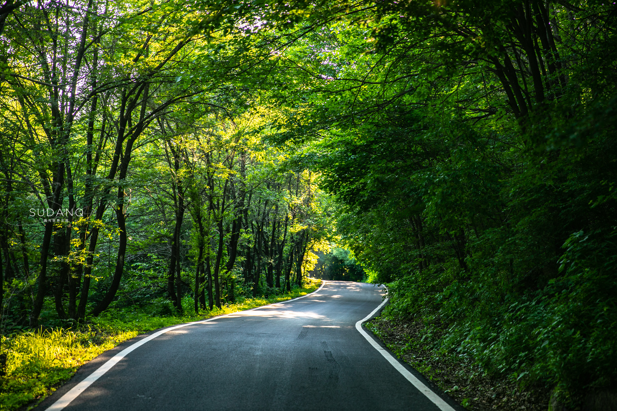 对于山林的喜好和向往,我是毫不掩饰的.