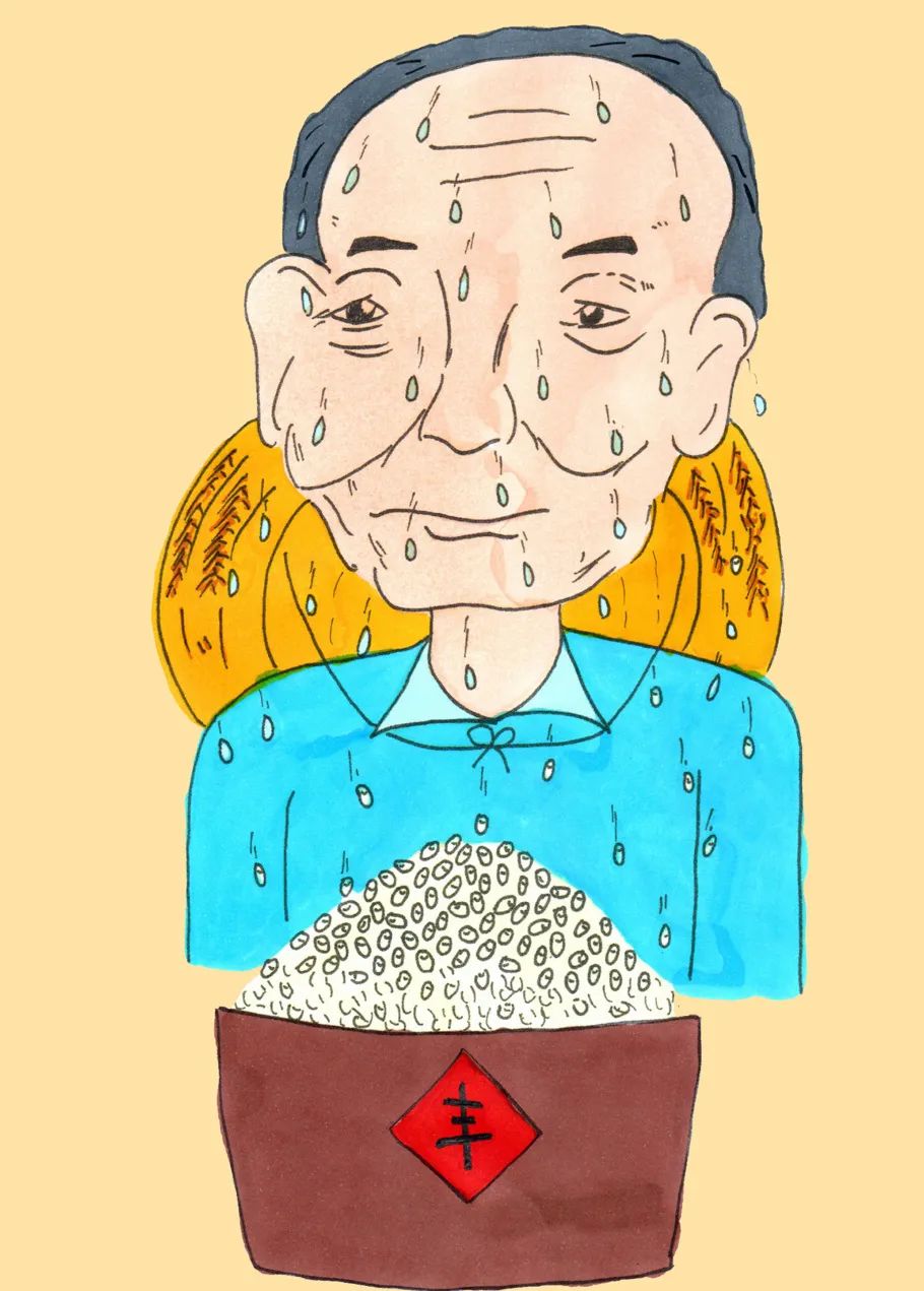 袁隆平爷爷的汗水    彭梦涵