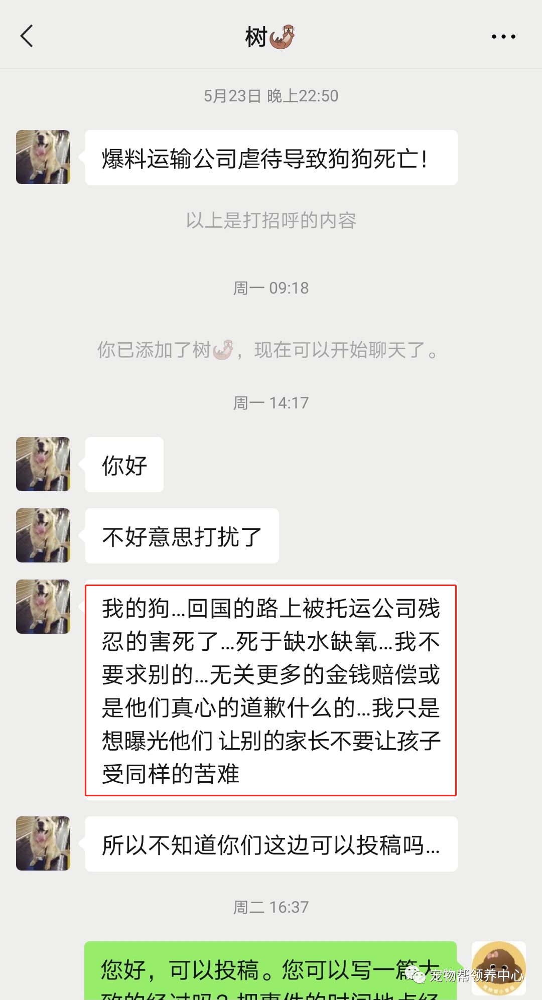 “宠物托运公司把我的狗虐待致死了，他们却说自己问心无愧”