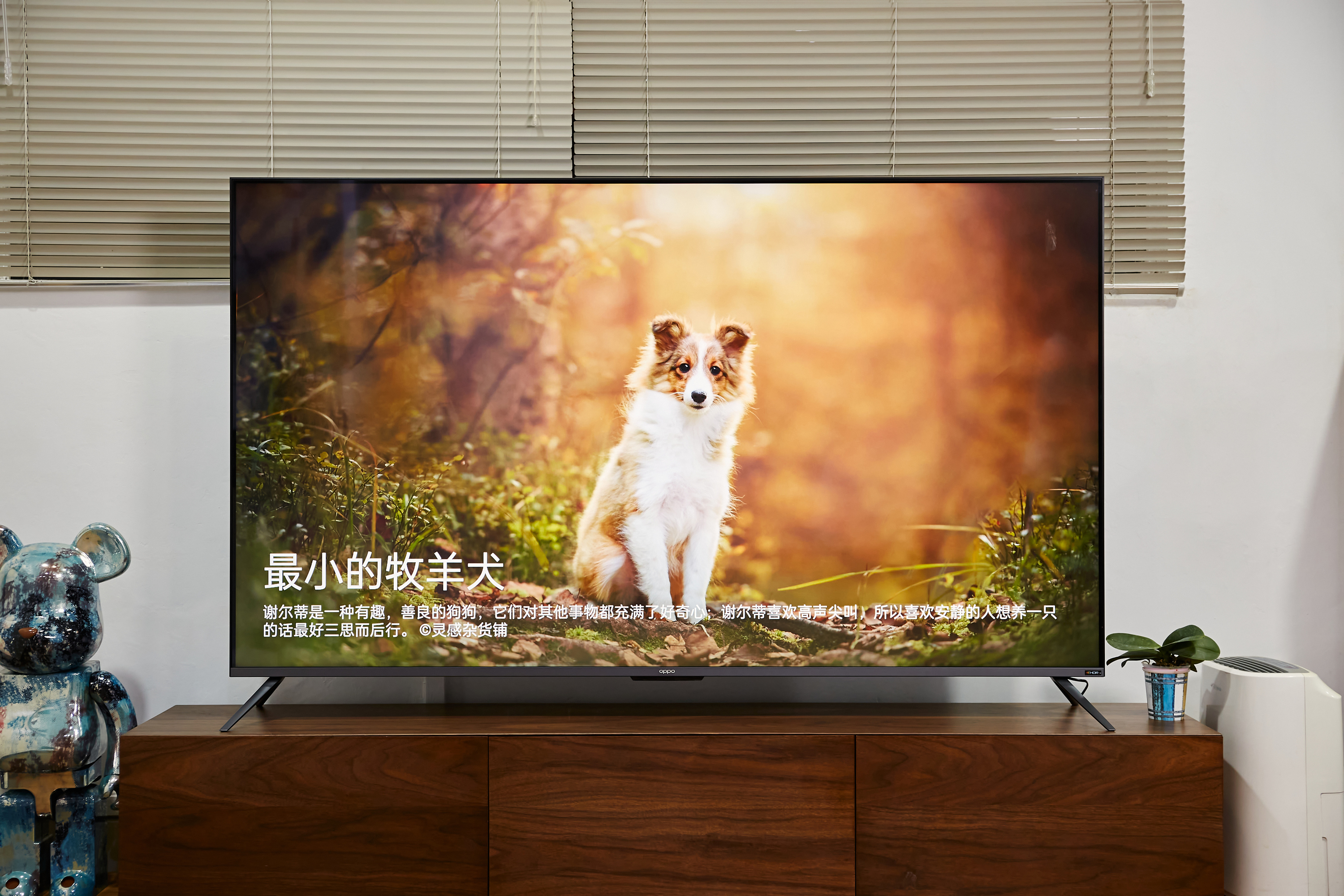 oppo智能电视k9 75英寸体验:专业级色彩显示,假期追剧首选