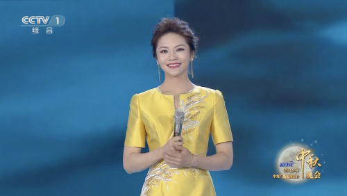 月中嫦娥人间盛楠我眼中的央视主持人孟盛楠