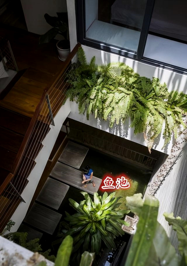 可以将天井改成景观小花园,种点花花草草,甚至一楼处还可以挖个小鱼池