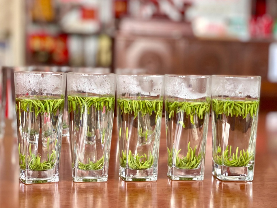 生态镇巴,名茶之乡,在镇巴最美茶园采茶,品茗,观云海