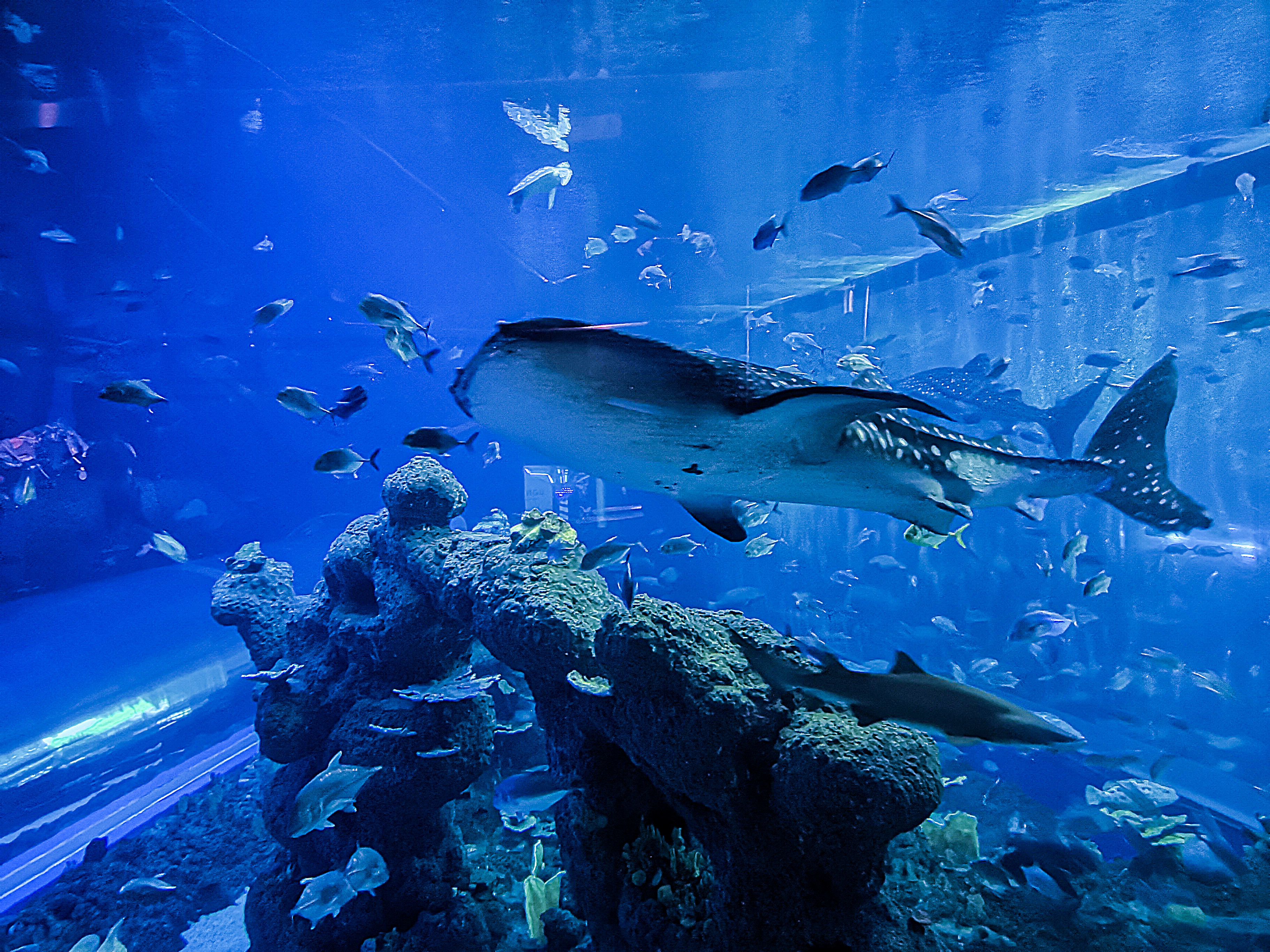 成都海滨城景区全新升级 多措并举打造童话世界__凤凰网