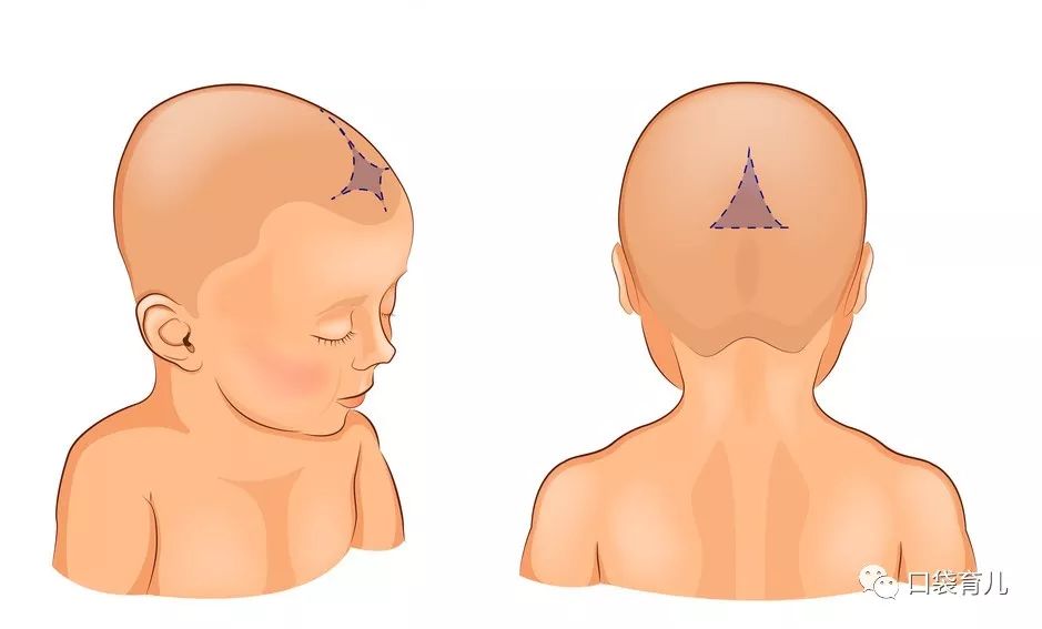关于宝宝囟门,你最需要知道这4件事__凤凰网