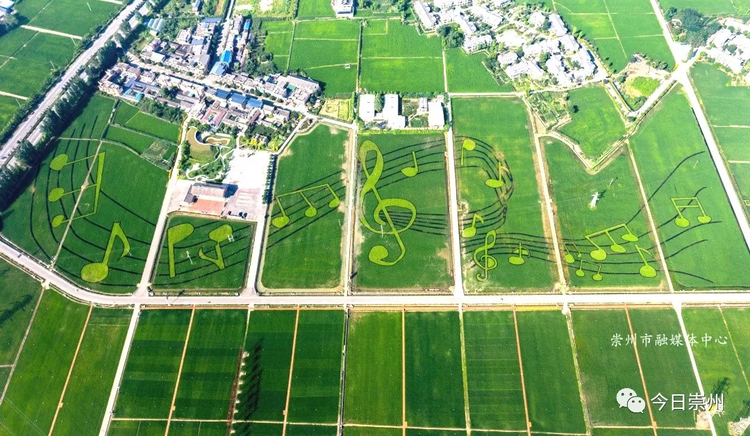 打開鳳凰新 清風拂面,飛鳥掠過, 在白頭鎮五星村