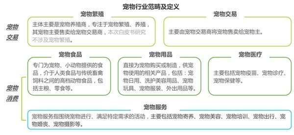 宠物dr是什么宠物医疗快速发展，宠物DR市场需求强劲_https://www.jmylbn.com_新闻资讯_第1张