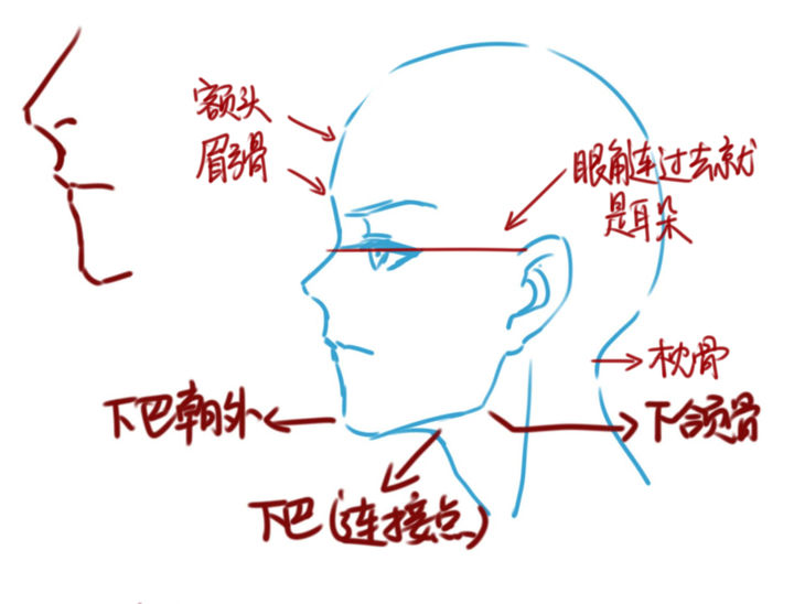 零基础教程头部绘画