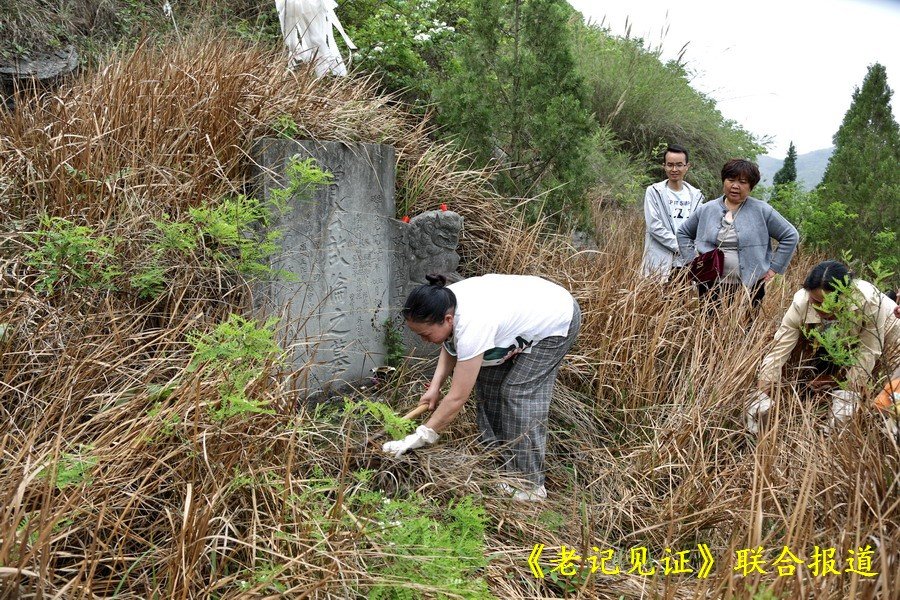 知道为什么扫墓的人 要带上镰刀和锄头了吧.