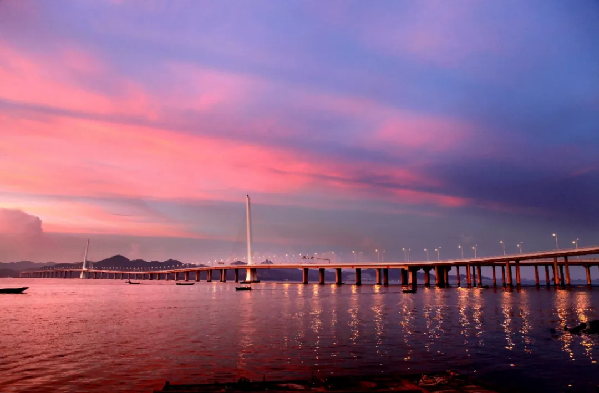 牛!大湾区里的先行示范区