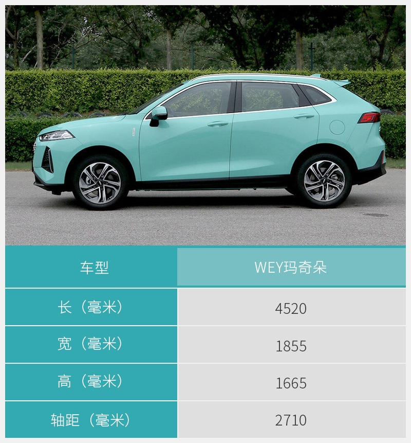 入门版车型配置够用wey玛奇朵购车手册