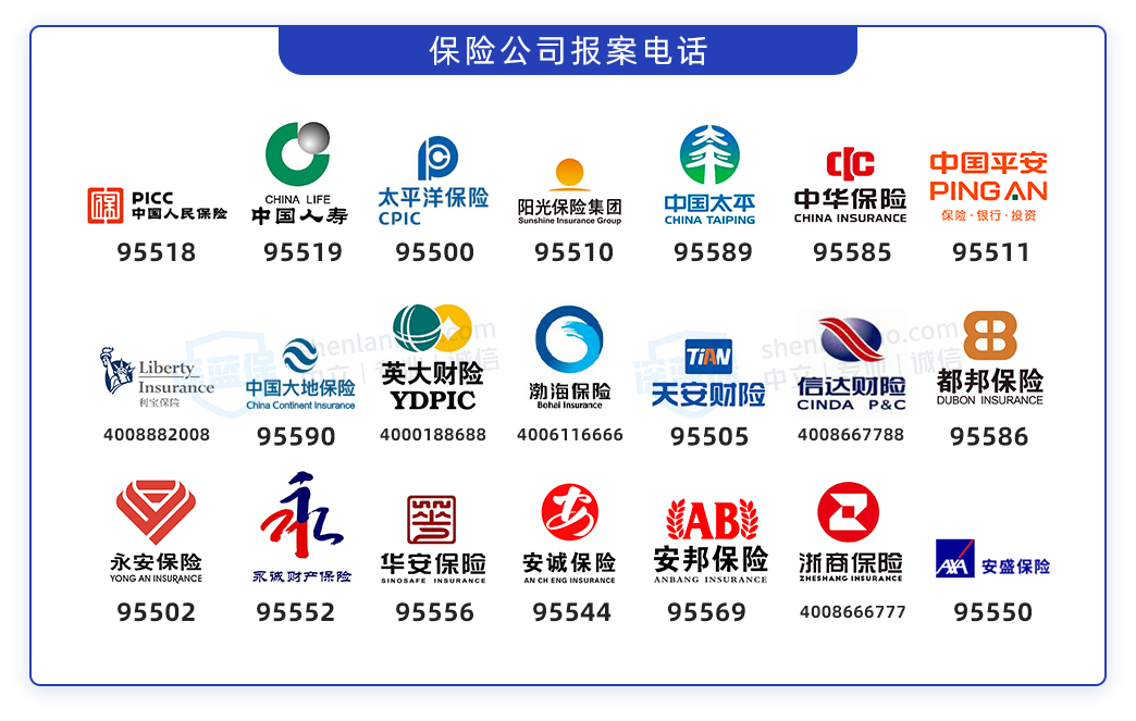 保险公司电话车险图片