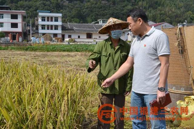 驻村第一书记瞿林(右)向村民了解稻米产量情况