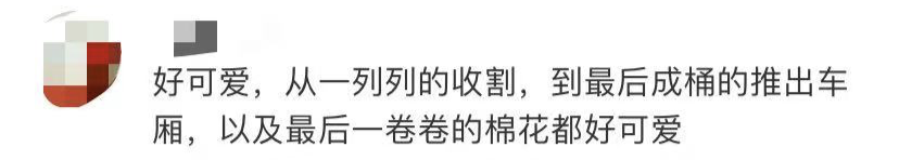 带头抵制新疆棉花的BCI,是个什么组织?