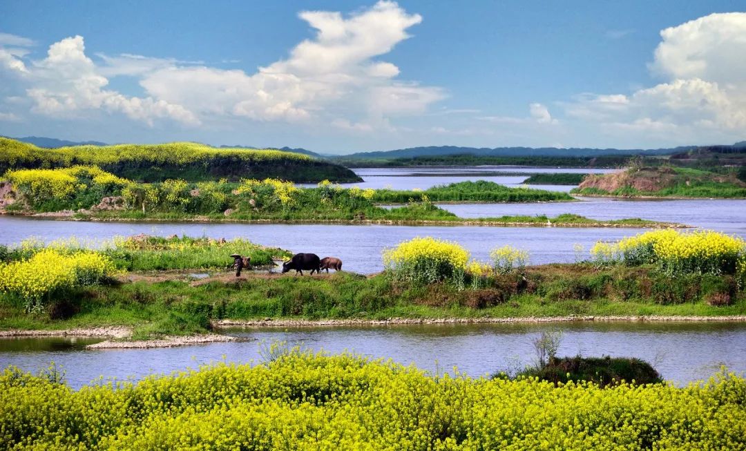 成渝市民放空两日指南!快来pick你心动的湿地公园