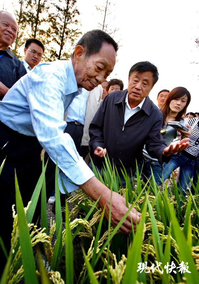 柴军虎)5月22日13时07分,"杂交水稻之父",中国工程院院士,"共和国勋章