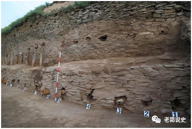 插在石峁城墙里的根根纴木,都是松柏,经测定非产自本地,从远处运来的,表明本地已无树木。