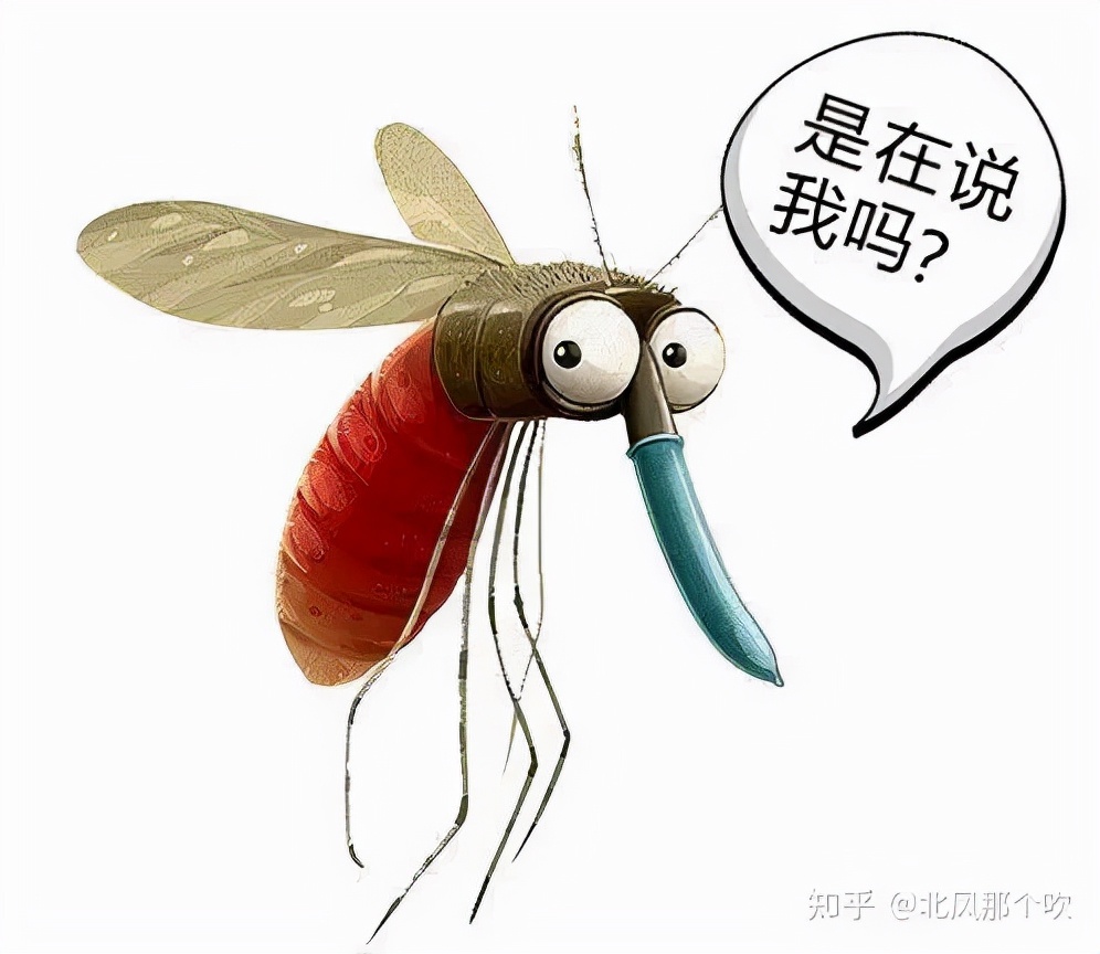 8D4195D7033ABFF7A268F9A9D08C2327C6EEAE6A_size156_w996_h864.jpeg