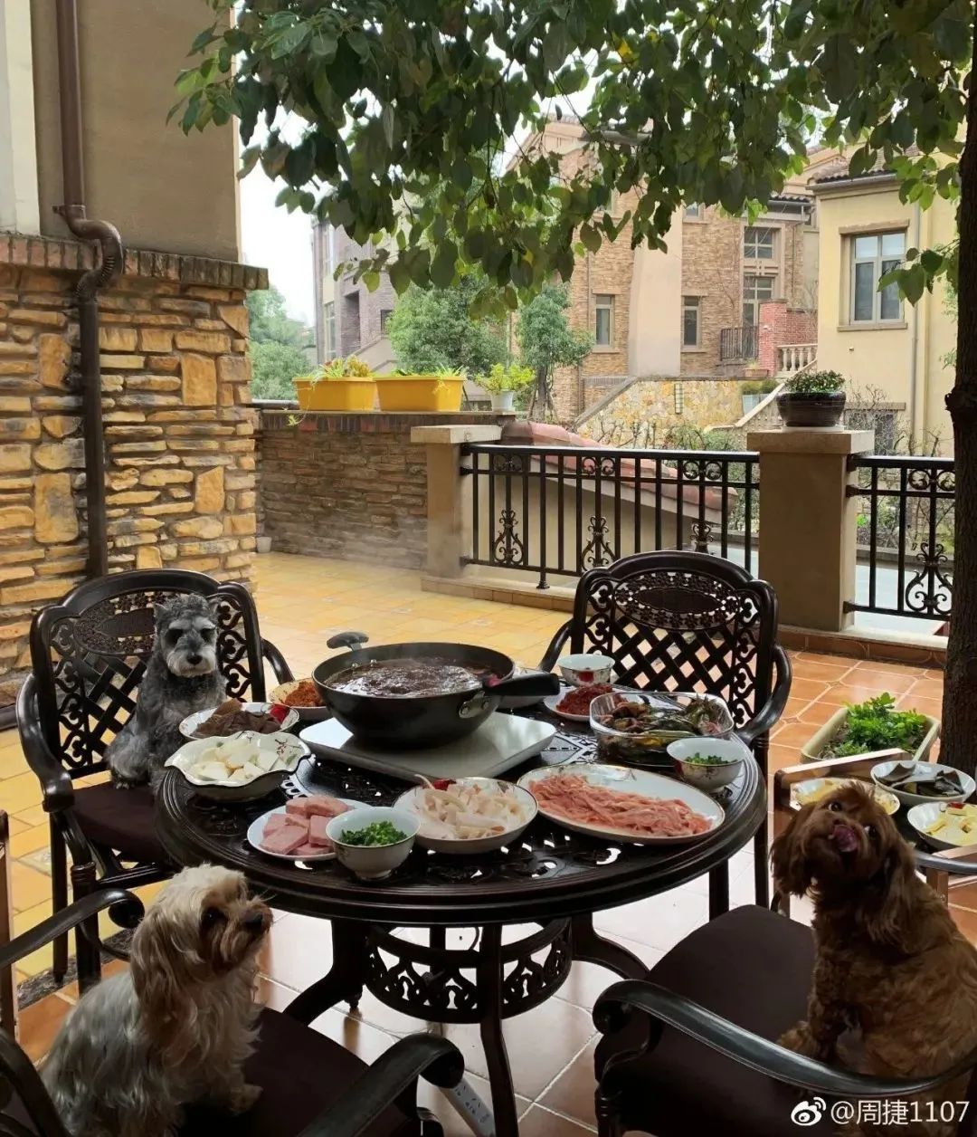 奥运冠军千万豪宅曝光!