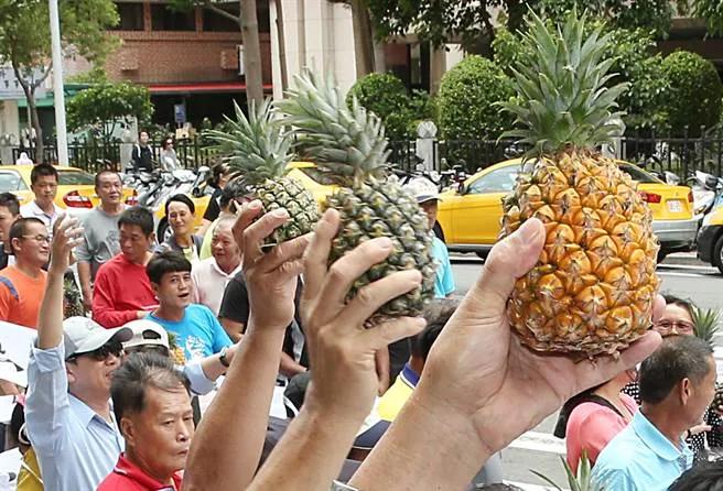 5萬噸臺灣菠蘿賣不出去 國民黨高層批民進黨:當初怎麼羞辱武漢的?