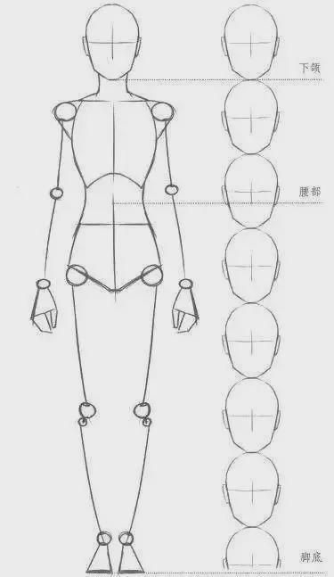 七头身画法图片