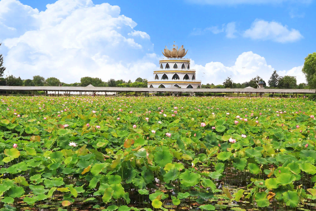 洛阳灵山莲花公园图片