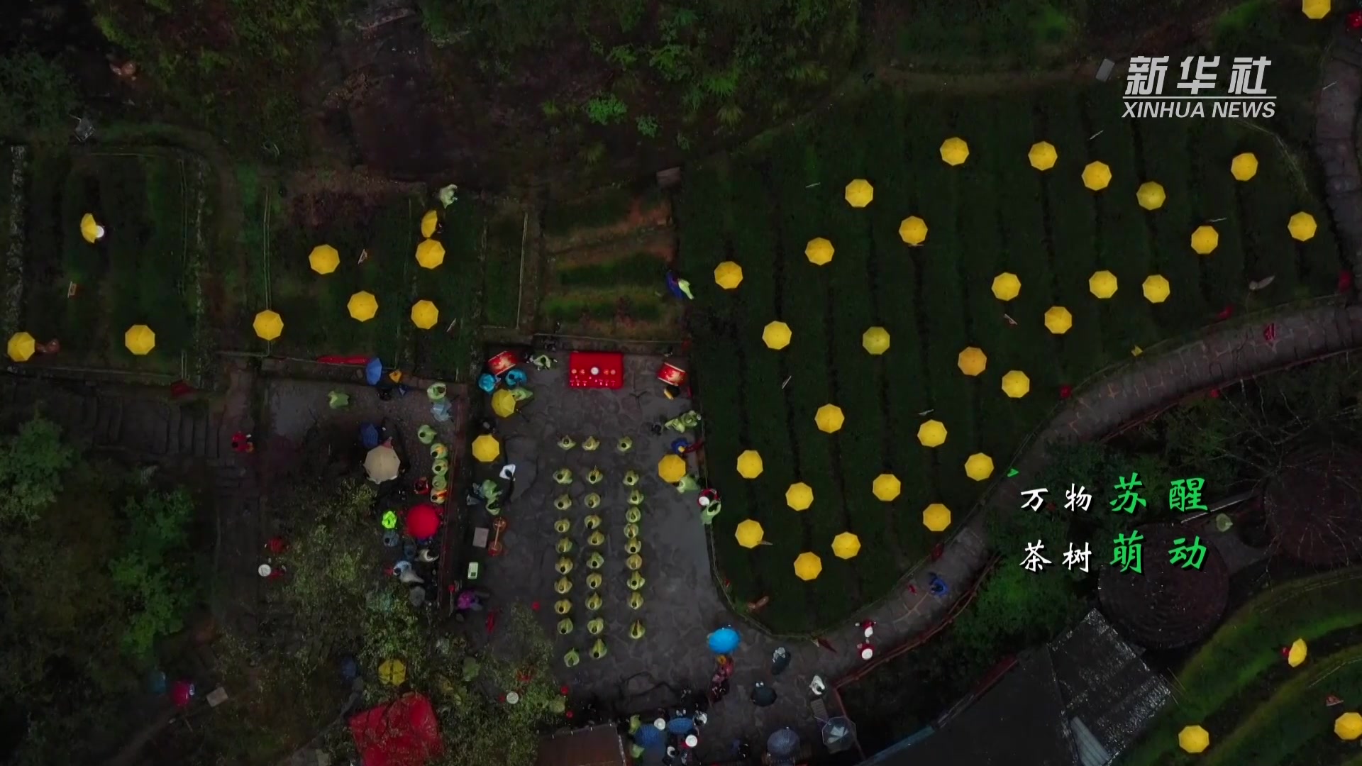 福建武夷山：惊蛰 喊山祭茶