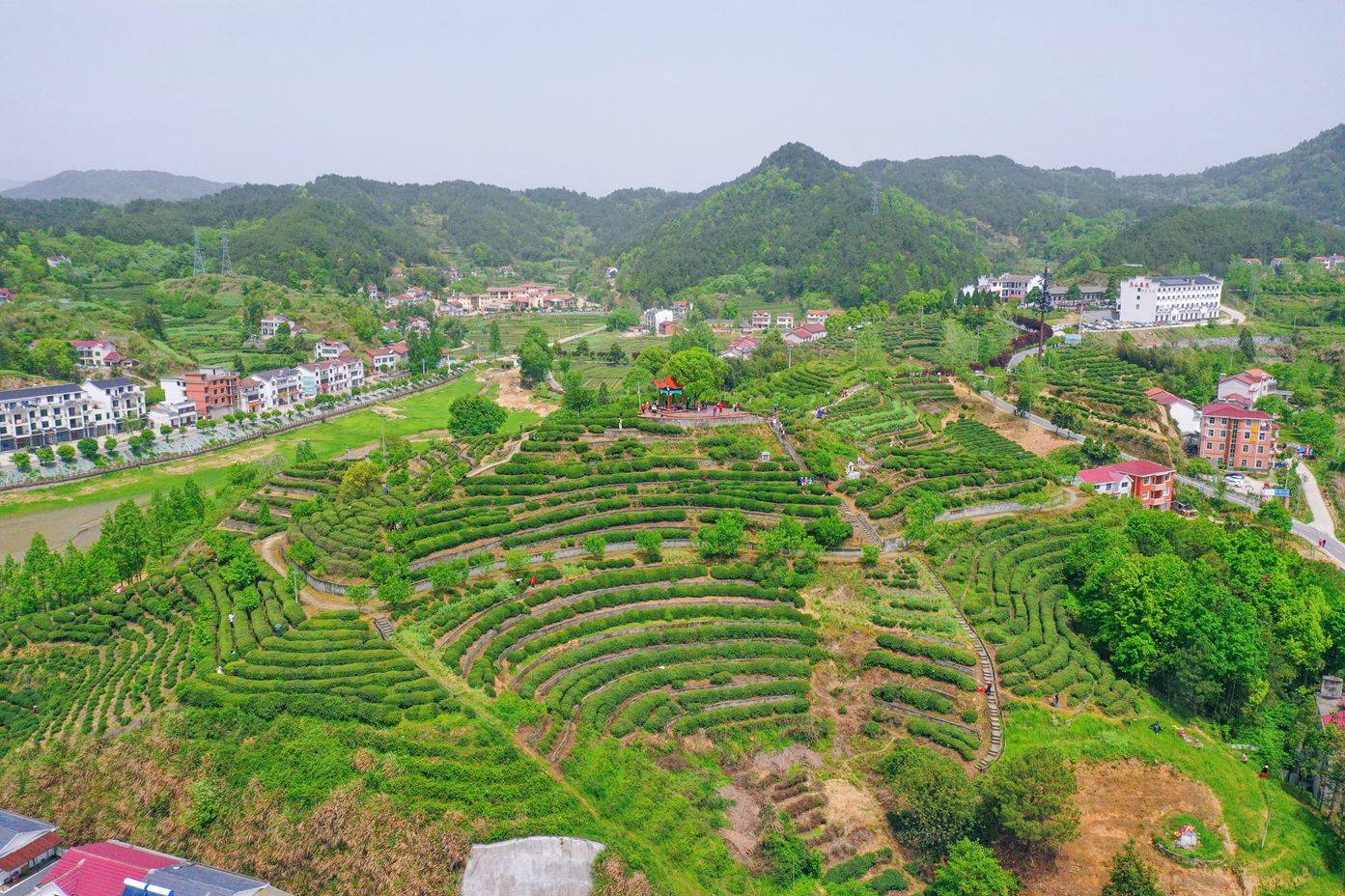 線路安排: day :烏雲山茶葉公園—英山四季花海—洪廣畢昇溫泉(宿)