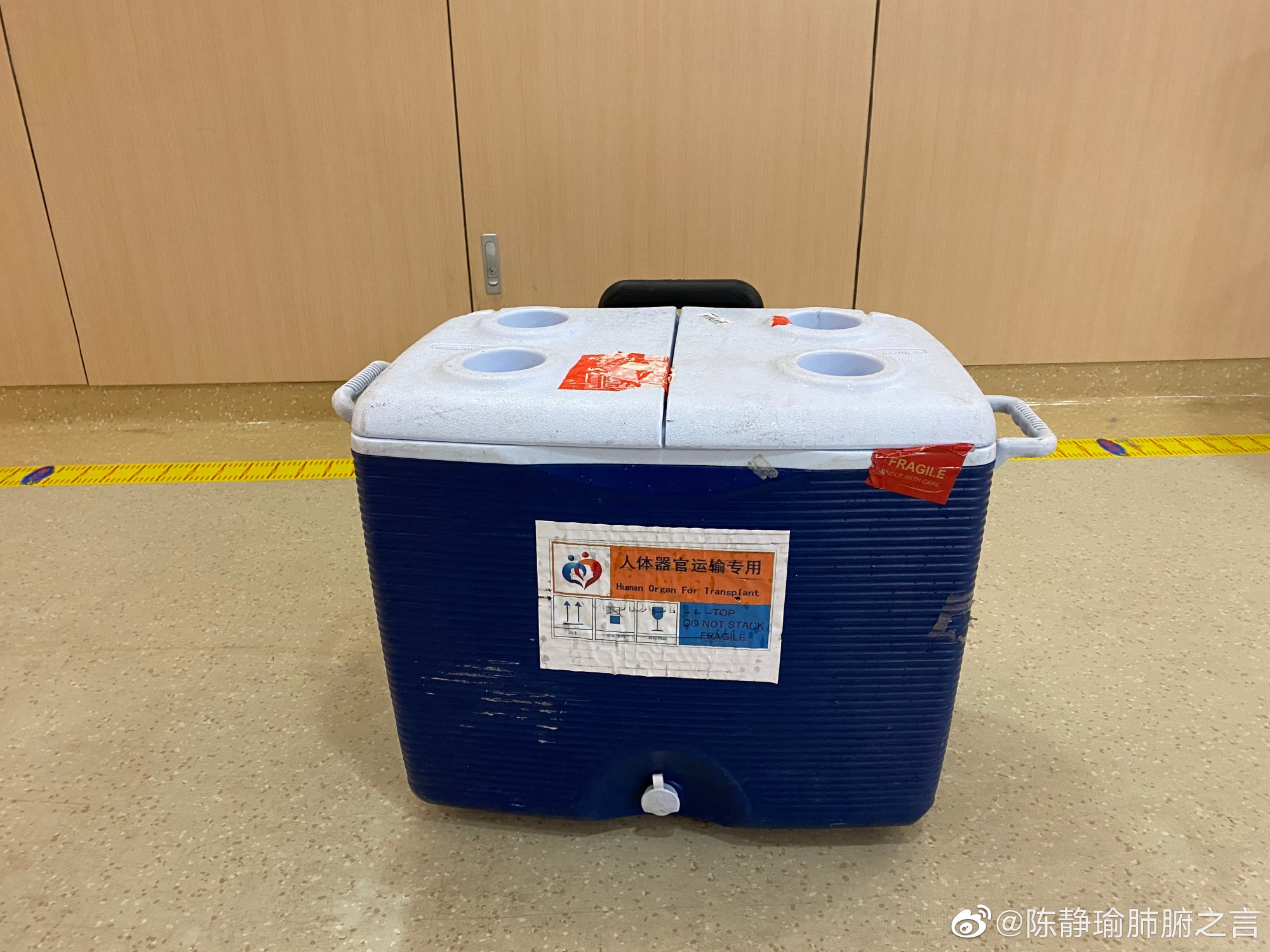 器官箱 微博@陈静瑜肺腑之言 图