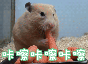 在暴食的时候,吃的其实并不是食物本身,来源更多的是脑内多巴胺的刺激