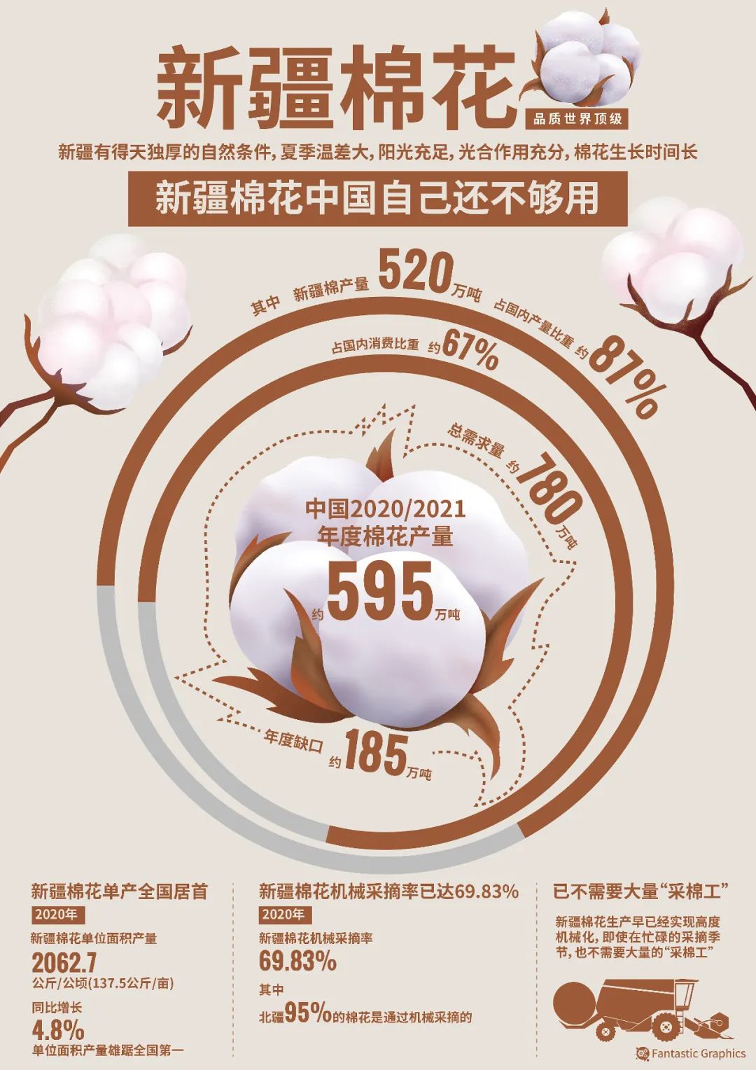 新疆棉花，到底藏着多少中国“科技树”？