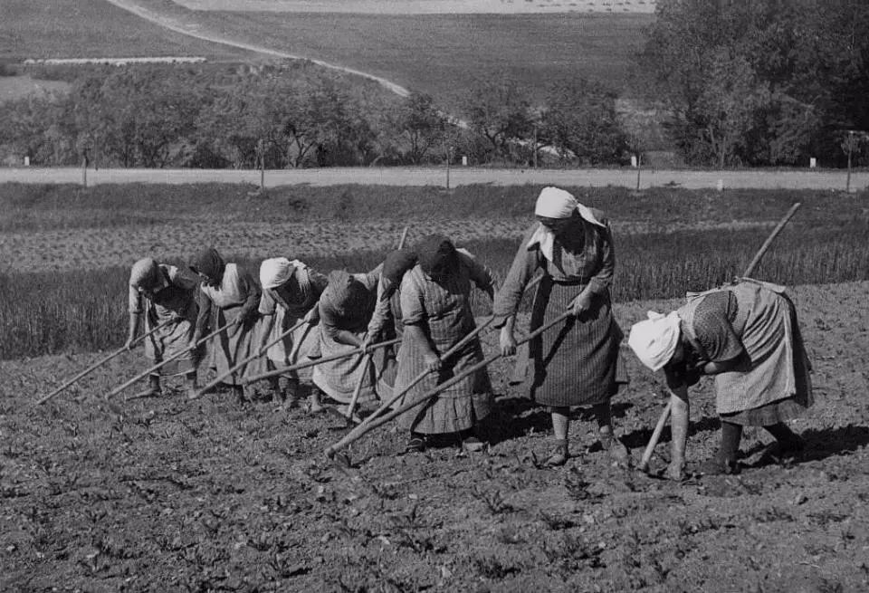 【量化历史研究】早农耕,早立国:农业革命与国家形成的整体分析_凤凰