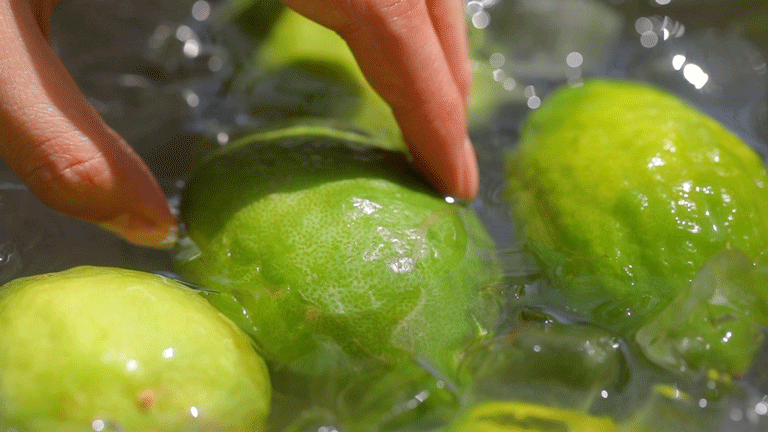 桂源铺第①杯绿绿绿冻柠茶来了!__凤凰网