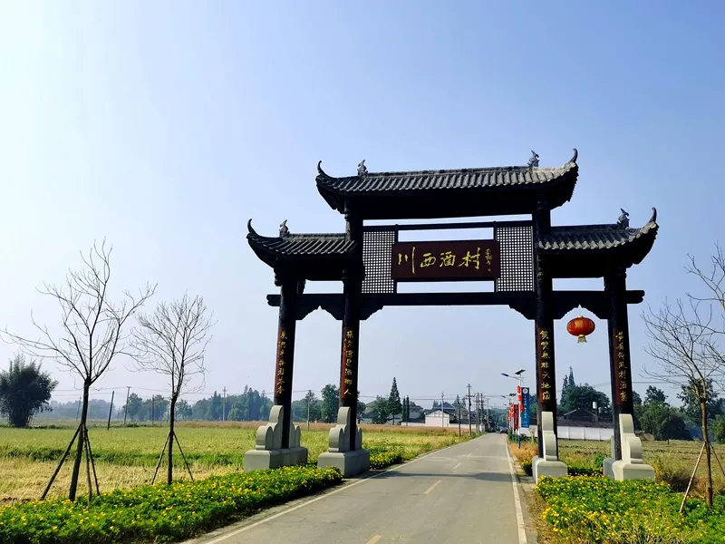 走进位于崇州天府优质粮油主产区的隆兴镇梁景村,田间一派收割油菜
