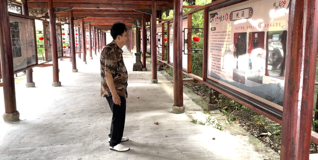 中国第一蛇村:800人养300万条蛇,每个人都被蛇咬过