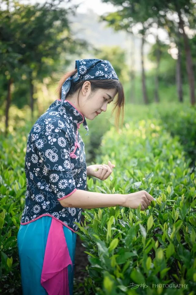 这个旅游文化节超有看头！送上虔心小镇金牌茶旅路线攻略