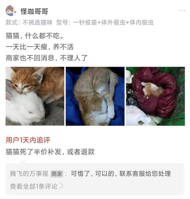 成都u201c宠物盲盒u201d憋死动物上热搜，多个网购平台仍在售_天天新闻,甜甜新闻