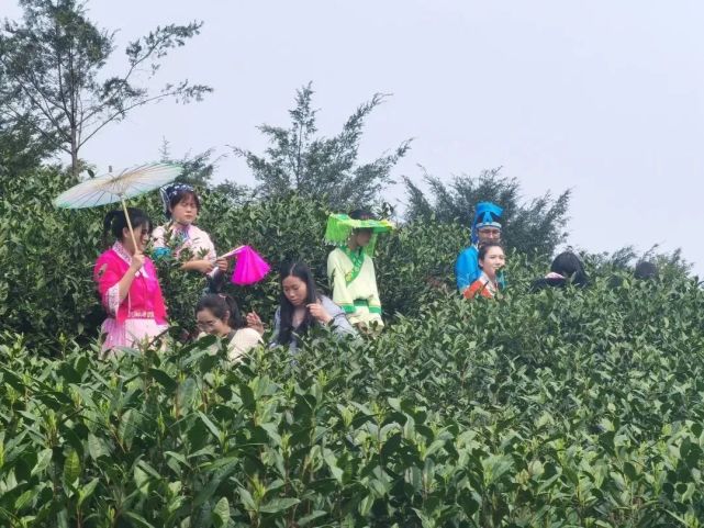 这个旅游文化节超有看头！送上虔心小镇金牌茶旅路线攻略