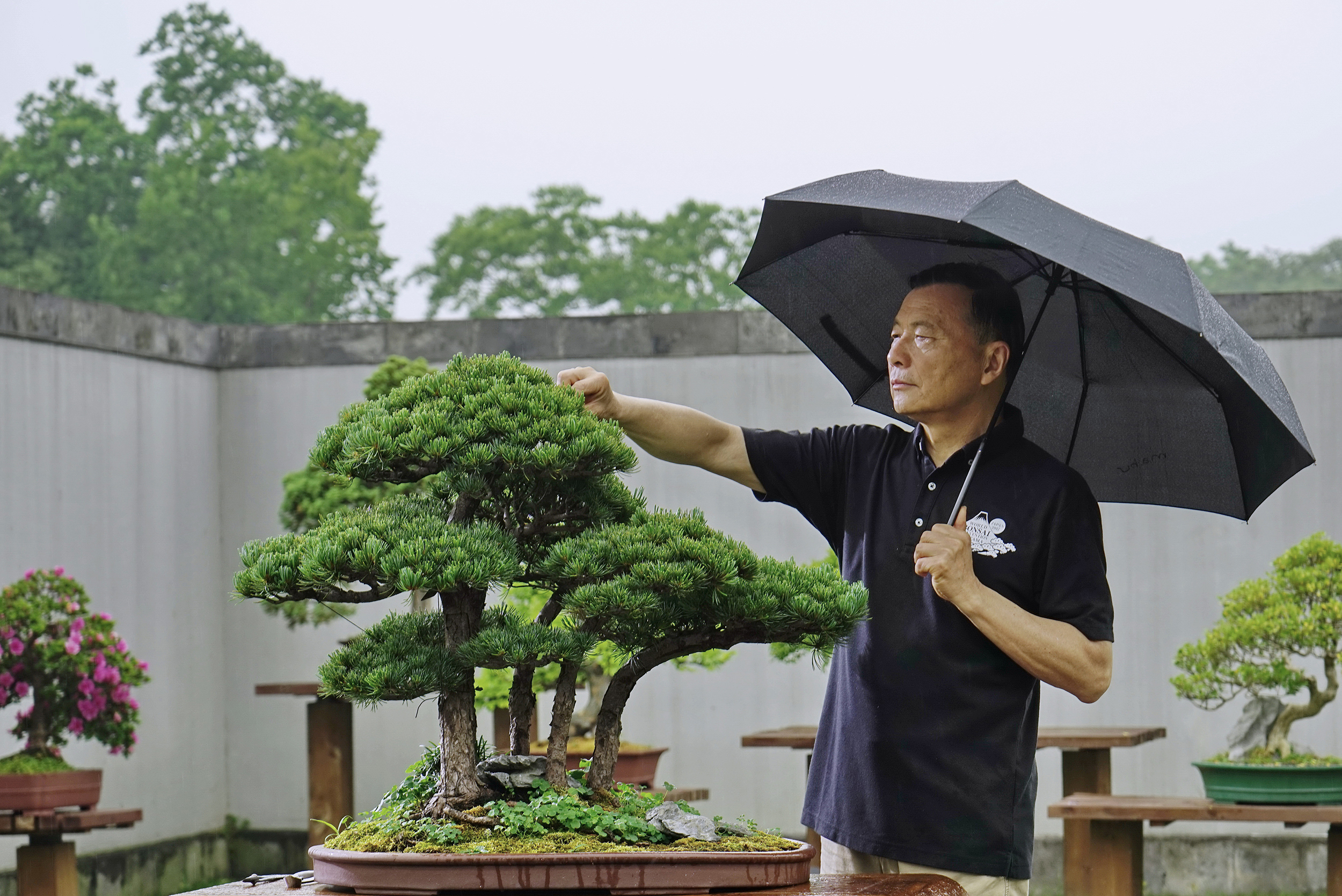 在中国盆景艺术复兴发展和走向世界的过程中,扬州的盆景艺术大师充当