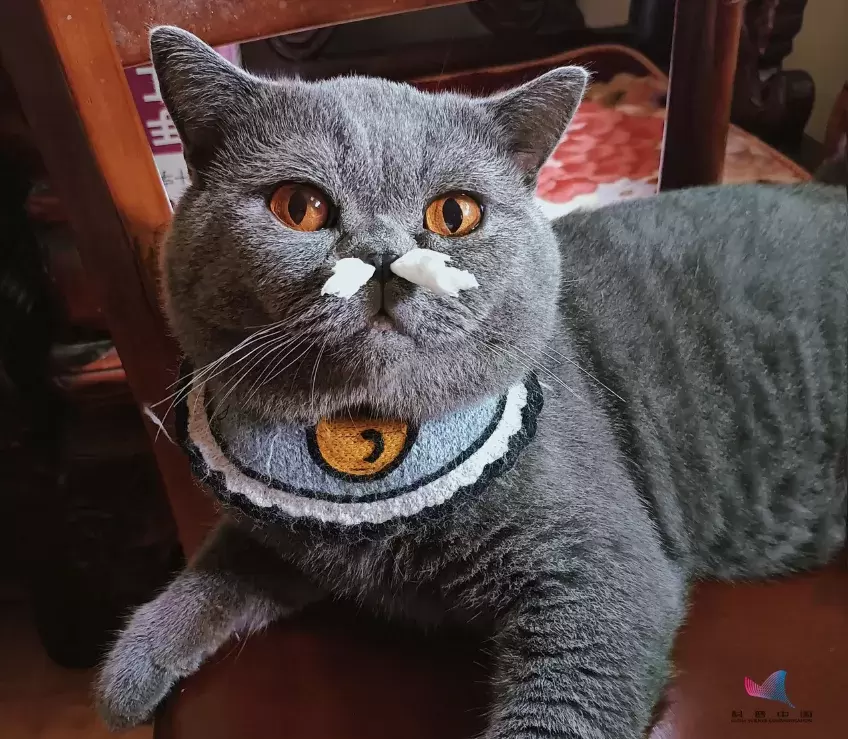 鼻孔千万不要随便抠，一男童竟因此致颅内感染！赶紧告诉家里人_天天 