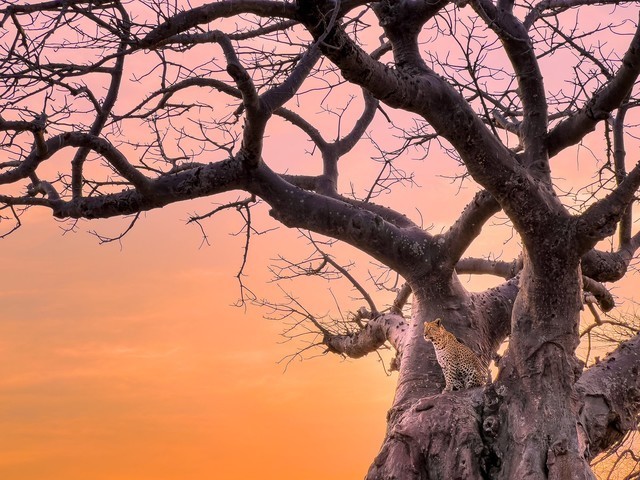 摄影师Austin Mann分享iPhone 13 Pro样片