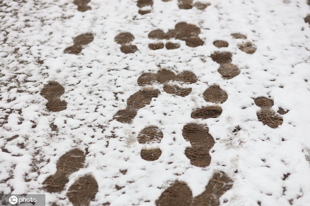 当地时间2021年11月27日,德国萨克森-安哈尔特,汽车驶过哈尔茨山区积雪覆盖的树干。在未来的几天里,雪线还会继续下降,低地地区也将下雪。