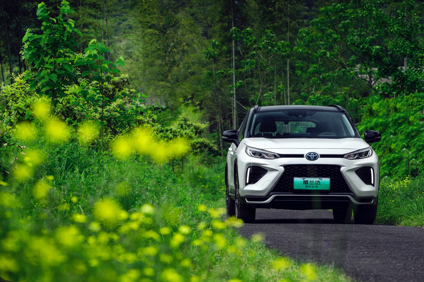 20多万买一款插电混合动力suv,需要什么样的理由_凤凰网汽车_凤凰网