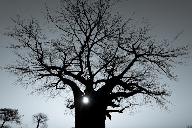 摄影师Austin Mann分享iPhone 13 Pro样片