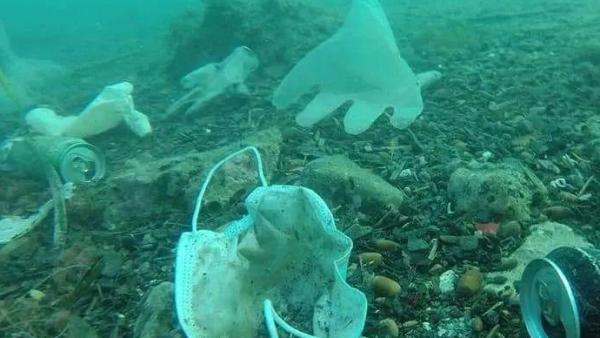 海洋保护组织:2020年至少有15.6亿个口罩流入海洋